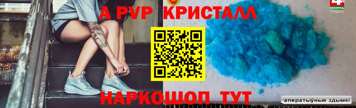 A PVP СК Ногинск