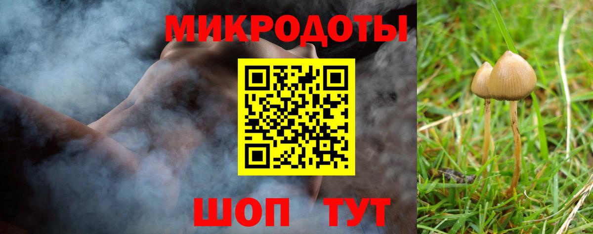 Галлюциногенные грибы Magic Shrooms Ногинск